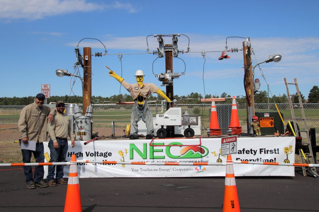 NEC Power Safety (2)